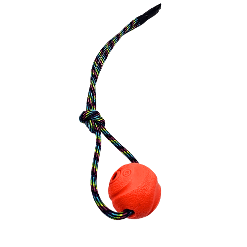 Handcrafted Chuckit Fetch Ball with Paramax Handle - Ultimate Fetch Toy for Little Dogs - PK9 Gear