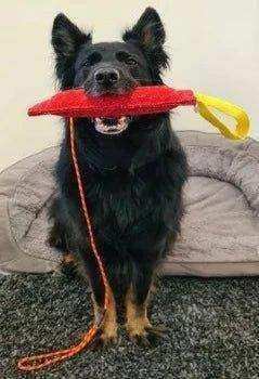 PK9 French Linen Tug Toy – Interactive Bite & Retrieve Training Toy - PK9 Gear